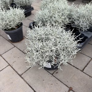Silberdraht