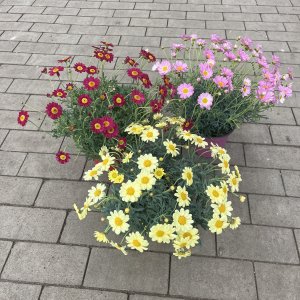 Bezeichnung fehlt...