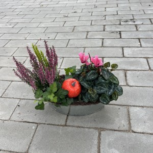 Bezeichnung fehlt...