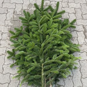 Nordmann Schnittgrün 5 kg